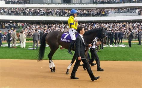 マスクトディーヴァは強襲も2着 一口馬主いとをかし