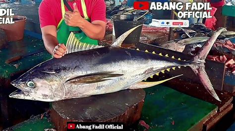 Full Skills Abang Fadil Cutting Big Tuna Kg Ekor Order Ibu Yeni