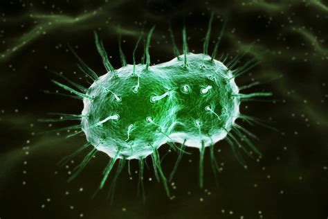 WHO: Some Gonorrhea Cases Now Untreatable | TIME