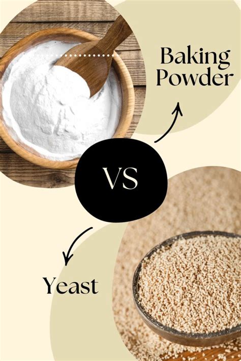 Baking Powder Vs Yeast What Is The Difference Between