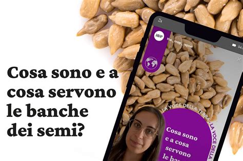 Le Banche Dei Semi Forzieri Della Conservazione Delle Specie Vegetali