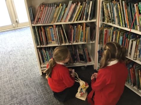 Primary 4 Visit Coleraine Library