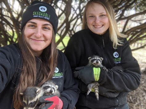 New training programs will help every pitbull rescue find homes 27