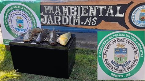 Pma Apreende Pescado Ilegal Em Acampamento No Rio Miranda Em Nioaque