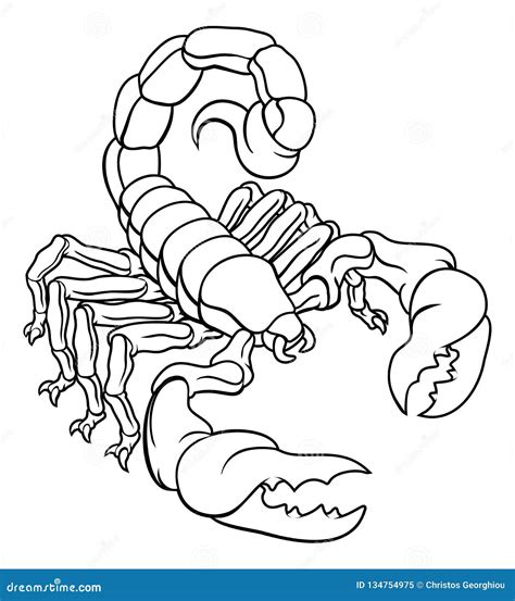 Dise O De La Muestra Del Zodiaco Del Escorpi N Del Escorpi N