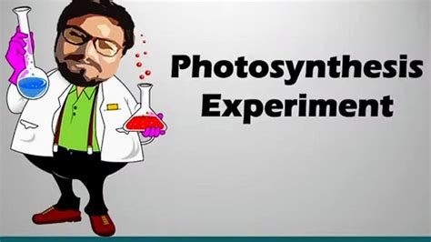 Photosynthesis Experiments ☠️ Youtube