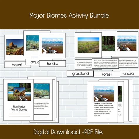 Biomes Cards Etsy