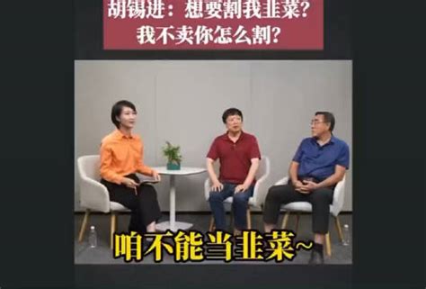 胡锡进谈炒股：“我买了股票，然后我不卖，就割不到我韭菜” 胡锡进 炒股 股票 新浪新闻