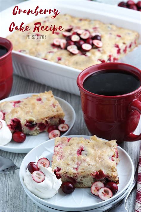 Cranberry Cake Recipe • Pint Sized Baker