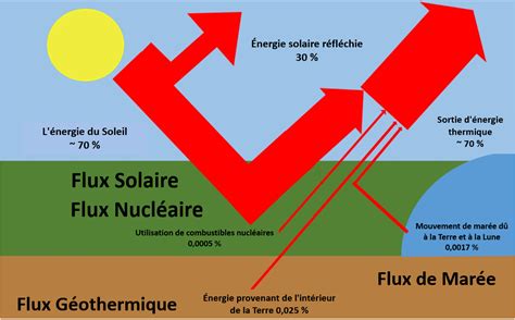 Grillo Lavoro Semplice Energie Terre Screziare Sette E Mezza Confermare