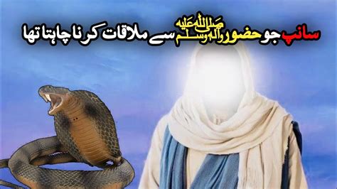 Saanp Jo Hazrat Muhammad Saw Se Milna Chahta Tha Islami Waqiat YouTube