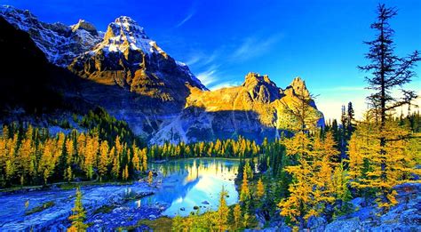 laptop wallpapers top   laptop backgrounds wallpaperaccess