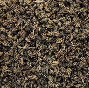 Ajwain (Carom Seeds) - Health Benefits, Nutritional Facts, Pictures