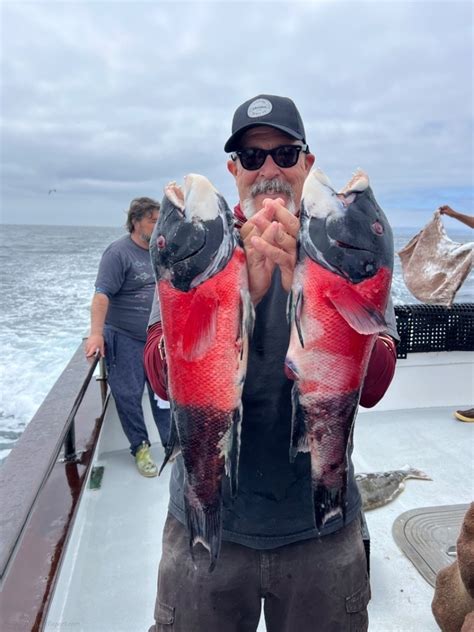 Eldorado Sportfishing Fish Report