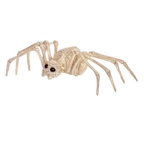 Halloween Mini Spider Skeleton | At Home