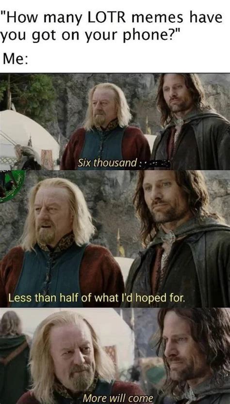 The Fellowship Of The Lord Of The Rings” Memes 33 Pics 1 