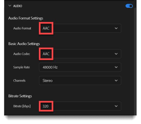 Premiere Pro Settings For Tiktok