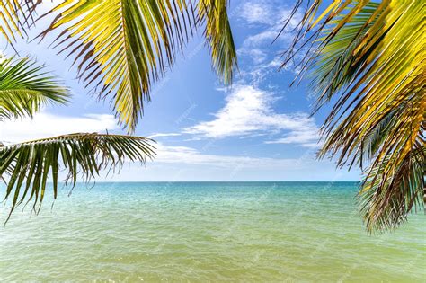 Playa Caribeña Con Agua Verde Y Palmeras En Cancún México Foto Premium