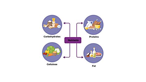 Draw Energy Giving Food