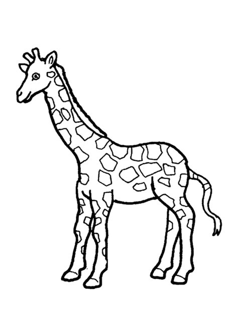 Coloriage Girafe Sur Hugolescargot