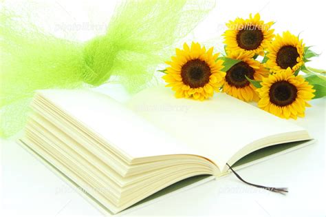 photolibrary