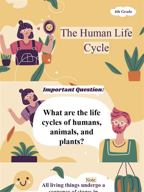 Human Life Cycle | PDF