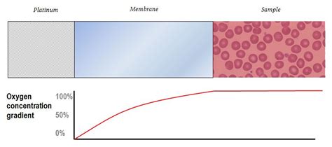 Principles Of Oxygen Measurement With The Clark Electrode Deranged