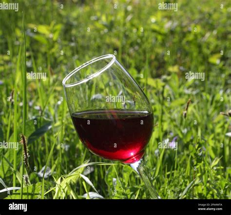 Glass With Red Wine Stock Photo Alamy