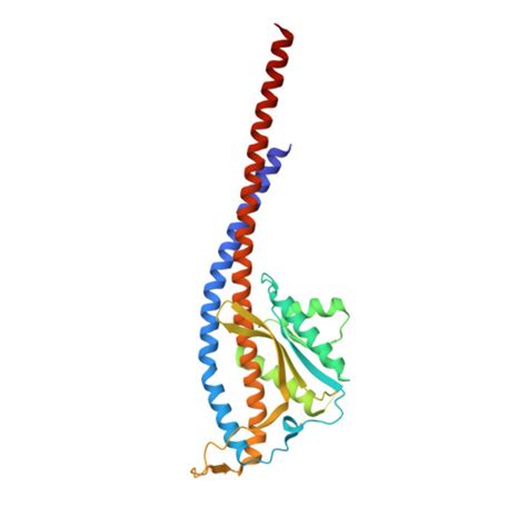 RCSB PDB 8JR0 Cryo EM Structure Of Mycobacterium Tuberculosis ATP