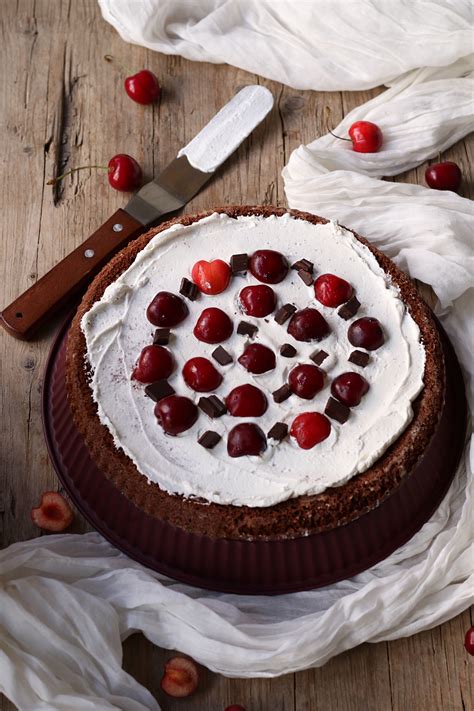 Crostata Morbida Al Cacao Con Stampo Furbo Di Tognana Tognana Home