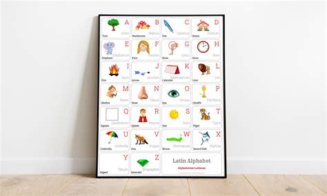 LATIN Alphabet CHART With Words and English Translations - Etsy