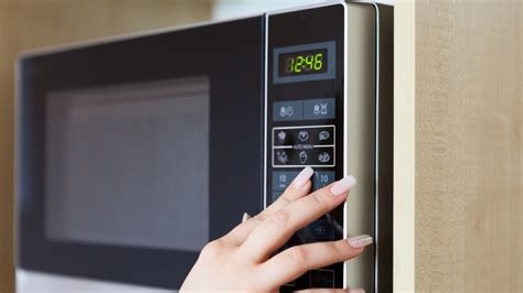 10 things you should never put in a microwave - Reviewed