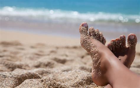 12 618 Tan Legs Beach Stock Photos Free Royalty Free Stock Photos