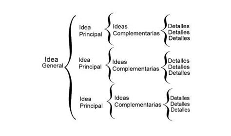 Como Elaborar Mapa Mental Conceptual Y Cuadro Sinoptico Nbkomputer