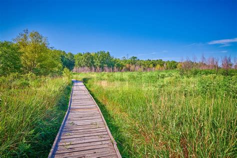 Boardwalk At Pershing State Park Mo Stock Image Colourbox