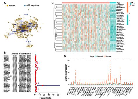 Figure 1 From Identification And Validation Of A Prognostic Prediction