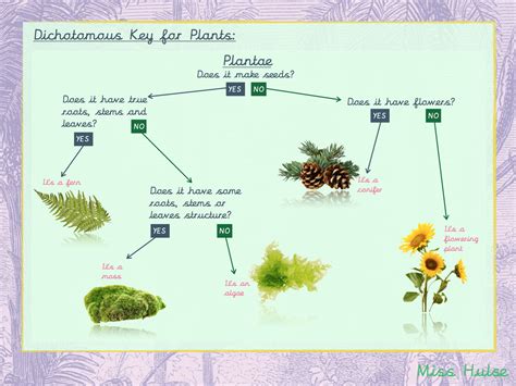 Science Living Things And Their Habitats Scheme The Nature Library