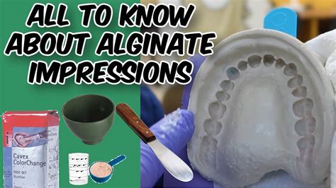 Alginate Impressions Dental 101 YouTube