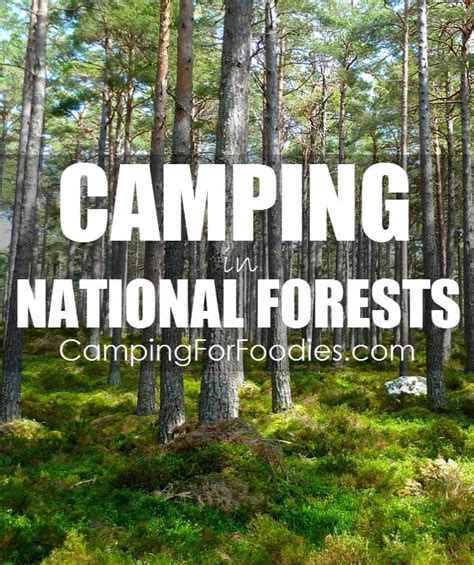 FREE Camping In National Forests LEGALLY: Know These Rules!