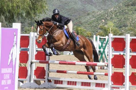 The USHJA Outreach Program is on the Rise - The Plaid Horse Magazine