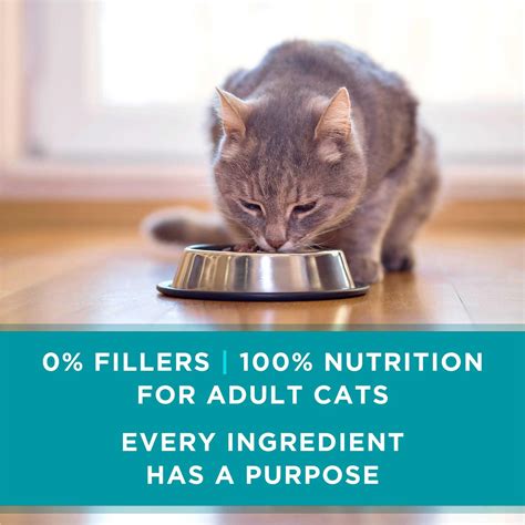 Purina ONE Ideal Weight Wet Cat Food - Pet Supplies online sale