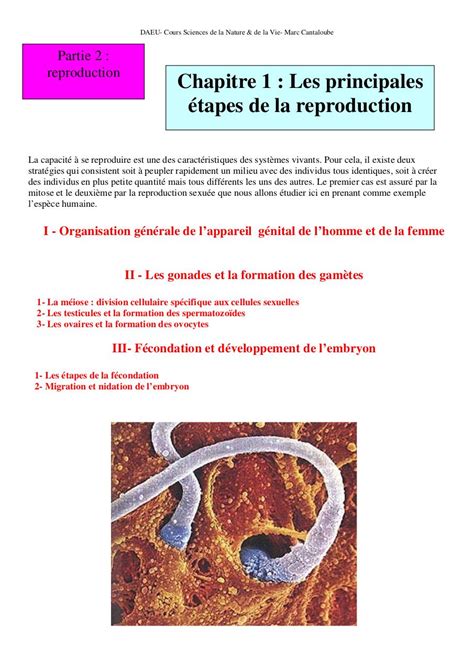 Svt 4ème Reproduction Humaine Cours