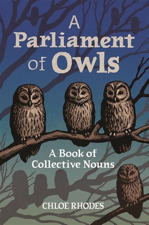 A Parliament Of Owls A Book Of Collective Nouns Rhodes Chloe