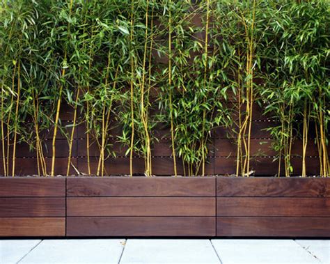 Bamboo Planter Ideas Pictures Remodel And Decor