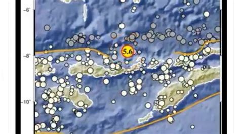 Gempa Di Larantuka NTT Semua Bangunan Bergoyang Warga Histeris