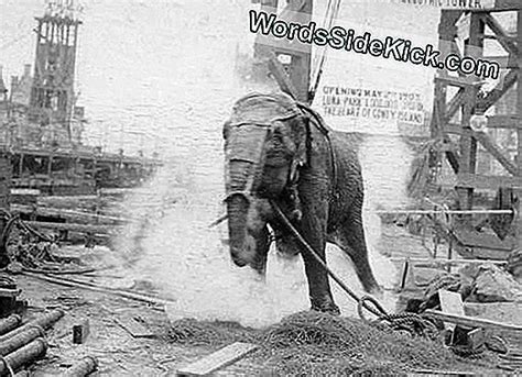 Por Qu Thomas Edison Electrocut A Un Elefante Tecnolog A