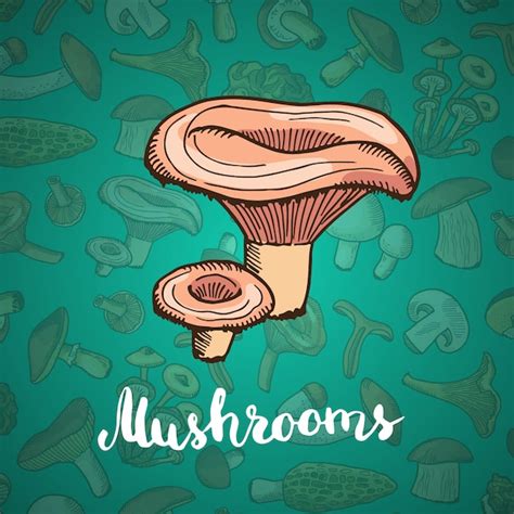 Premium Vector Hand Drawn Mushrooms Background