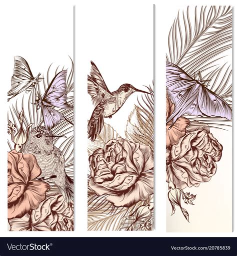 Set Of Floral Hand Drawn Brochures Royalty Free Vector Image