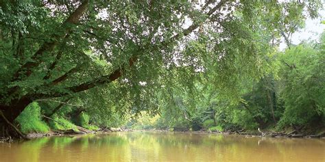 Neuse River | Wildlife, Estuary, Recreation | Britannica