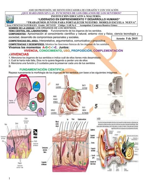 LABORATORIO SOBRE LOS ÓRGANOS DE LOS SENTIDOS PDF